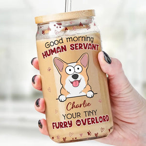 Your Tiny Furry Overlords - Dog & Cat Personalized Custom Glass Cup, Iced Coffee Cup - Gift For Pet Owners, Pet Lovers