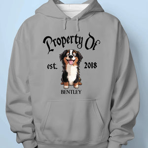 Property Of My Dog - Dog Personalized Custom Unisex T-shirt, Premium T-shirt, Hoodie - Gift For Pet Owners, Pet Lovers